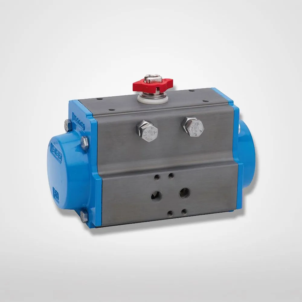 Pneumatic actuator 82SR0023 CH46 Valbia Vietnam