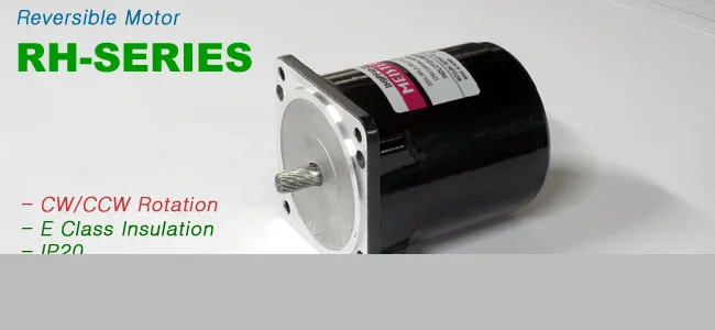 Reversible Motor