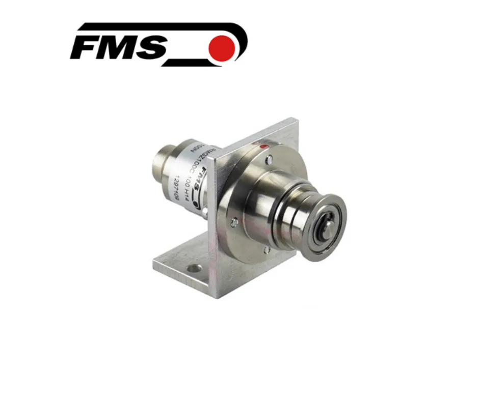 RMGZ100C.300 FMS Vietnam,Cảm biến lực