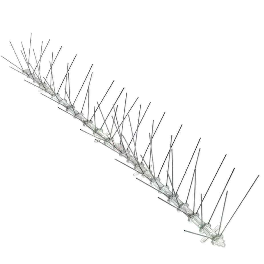 STAINLESS STEEL SPIKES – Rào ngăn chim đậu,Bird X,TTN