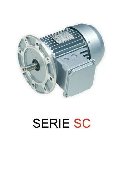 Standard motor with encoder, self ventilated with fan mounted on the shaft (IC411).