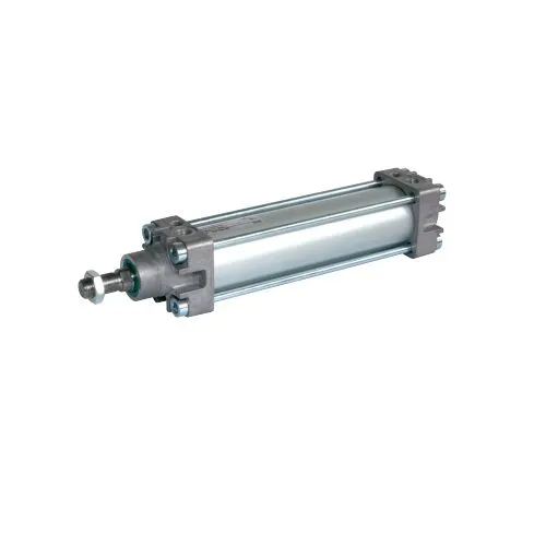Xilanh RA/8160/M/425 Norgren