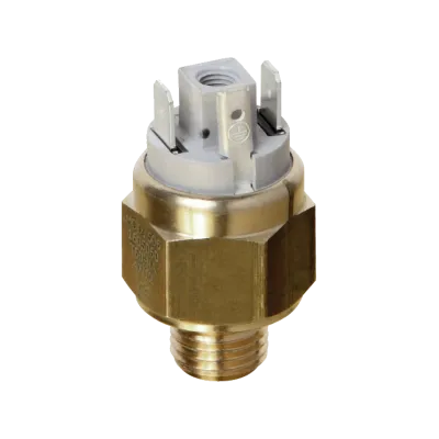 Cảm biến nhiệt độ Euroswitch 506 Euroswitch Vietnam