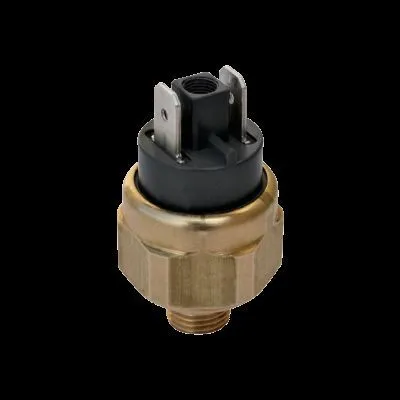 Công tắc áp suất Euroswitch 25R - Euroswitch VietNam - Ảnh 2