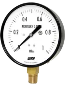 Đồng hồ đo áp suất Wise P110 - Thiết bị đo áp suất Hàn Quốc P110