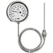 Đồng hồ đo nhiệt độ có dầu dạng dây dẫn Wise T219 - Nhiệt kế Wise - Đại lý Wise tại Việt Nam