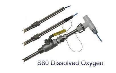 S80 ECDI- cảm biến oxy hòa tan S80 ECDI Việt Nam